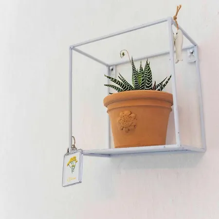 Daire Sardegna Homes Lelicriso Santa Teresa Gallura